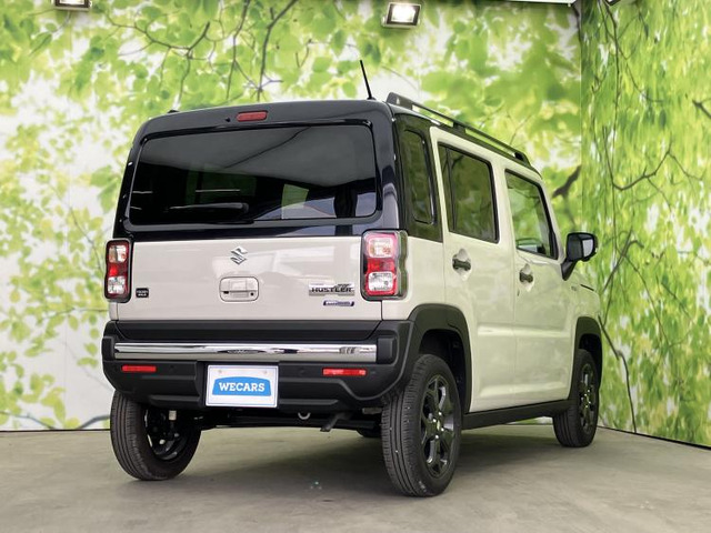 ハスラータフワイルド