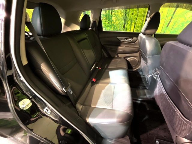 �㕔���Ȃ��C�ɂȂ�悤�ȃL�Y�E�����ւ��蓙�A�傫�ȃ_���[�W�͂Ȃ��A�ǍD�ȏ�Ԃł��B