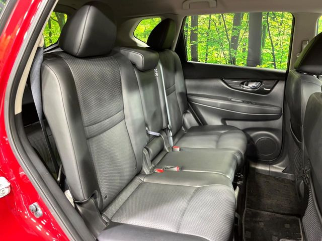 �㕔���Ȃ��C�ɂȂ�悤�ȃL�Y�E�����ւ��蓙�A�傫�ȃ_���[�W�͂Ȃ��A�ǍD�ȏ�Ԃł��B