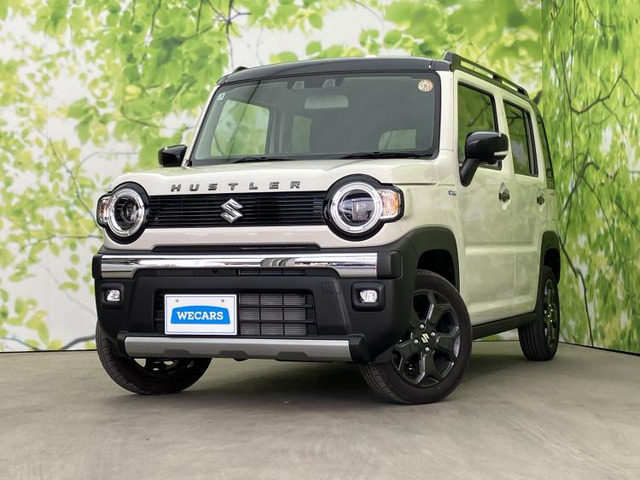 ハスラータフワイルド