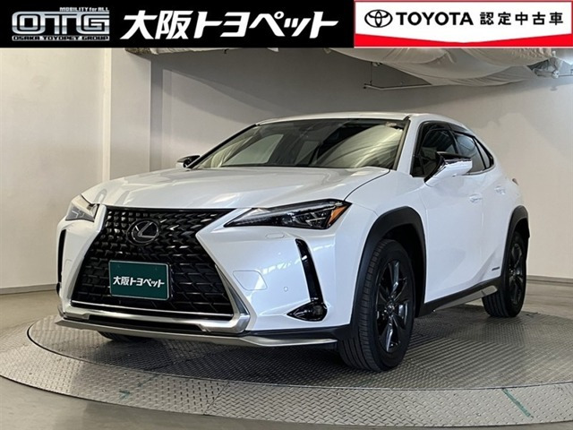 UX250h バージョンC