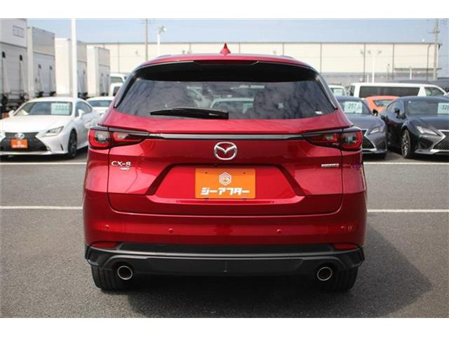 ���Ǝҗl�ւ̔̔��͂��f�肳���Ă��������܂��B �Ԍ������ԗ��̏ꍇ�́A�Ԍ����擾�������x�������z�ŕ\�����Ă���܂��B