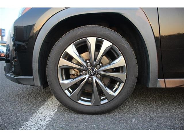 ���Ǝҗl�ւ̔̔��͂��f�肳���Ă��������܂��B �Ԍ������ԗ��̏ꍇ�́A�Ԍ����擾�������x�������z�ŕ\�����Ă���܂��B