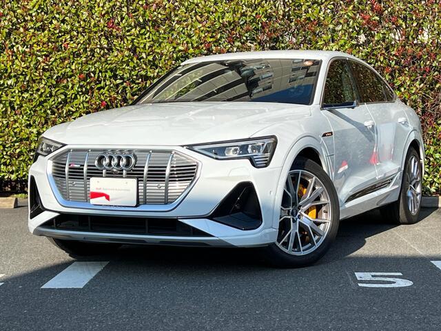 e-tronスポーツバック55 クワトロ 1st エディション バーチャルエクステリアミラー仕様 4WD