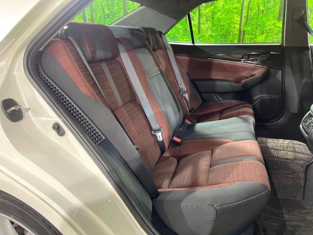 �㕔���Ȃ��C�ɂȂ�悤�ȃL�Y�E�����ւ��蓙�A�傫�ȃ_���[�W�͂Ȃ��A�ǍD�ȏ�Ԃł��B