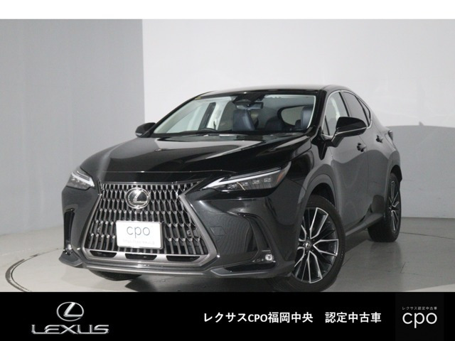 NX250 バージョンL