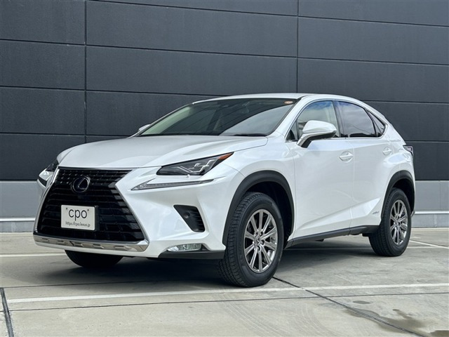 NX300h Iパッケージ