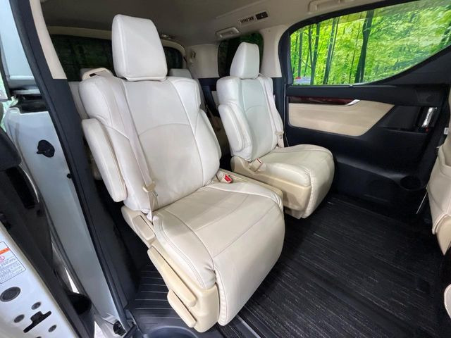 �㕔���Ȃ��C�ɂȂ�悤�ȃL�Y�E�����ւ��蓙�A�傫�ȃ_���[�W�͂Ȃ��A�ǍD�ȏ�Ԃł��B