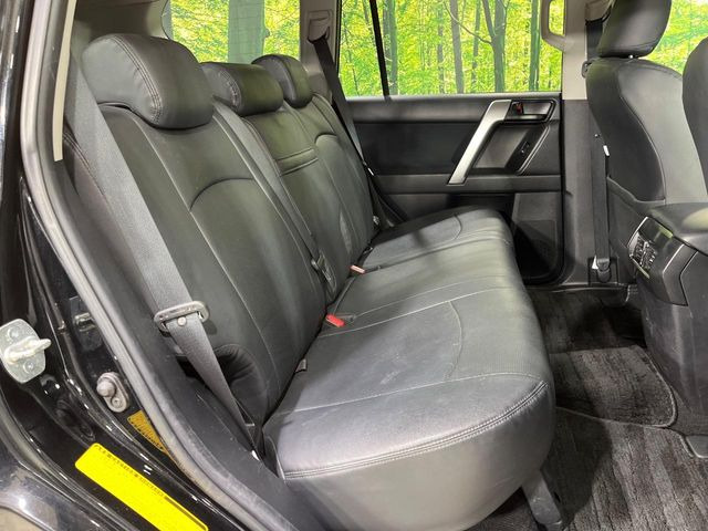 �㕔���Ȃ��C�ɂȂ�悤�ȃL�Y�E�����ւ��蓙�A�傫�ȃ_���[�W�͂Ȃ��A�ǍD�ȏ�Ԃł��B