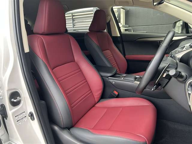 NX300h Iパッケージ