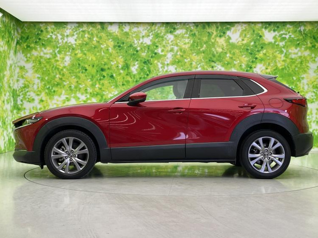 CX-301.8 XD Lパッケージ 4WD