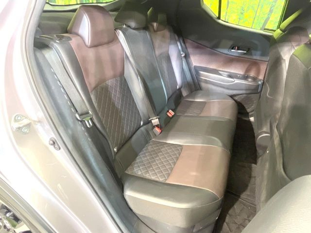 �㕔���Ȃ��C�ɂȂ�悤�ȃL�Y�E�����ւ��蓙�A�傫�ȃ_���[�W�͂Ȃ��A�ǍD�ȏ�Ԃł��B