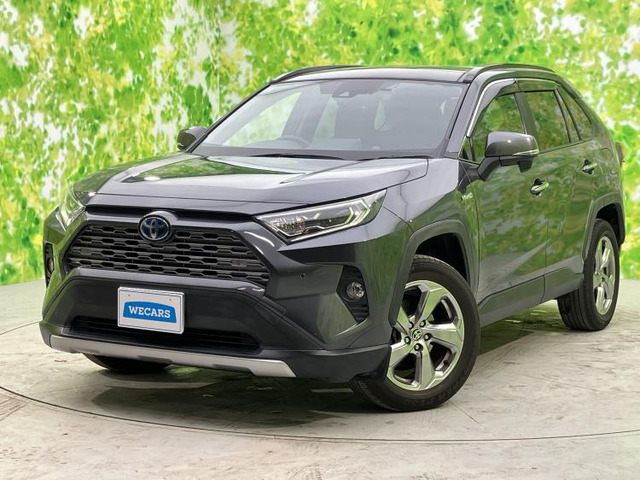 RAV42.5 ハイブリッド G E-Four 4WD