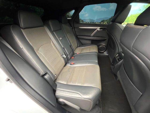 �㕔���Ȃ��C�ɂȂ�悤�ȃL�Y�E�����ւ��蓙�A�傫�ȃ_���[�W�͂Ȃ��A�ǍD�ȏ�Ԃł��B