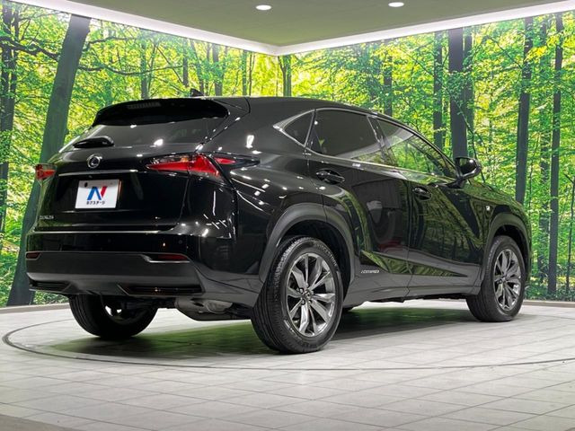 ���S���̃l�N�X�e�[�W���炨���񂹂��\��!�����̓X�܂ɓW�����Ă���N���}���C�ɂȂ�ꍇ���A�Ŋ��̓X�܂ł��������������Ƃ��\�ł�!���񎄂����ɗv�]������������������!���ʓr��p