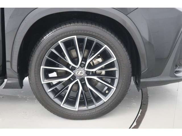 NX250 バージョンL