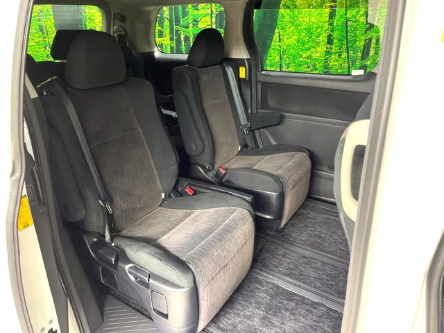 �㕔���Ȃ��C�ɂȂ�悤�ȃL�Y�E�����ւ��蓙�A�傫�ȃ_���[�W�͂Ȃ��A�ǍD�ȏ�Ԃł��B