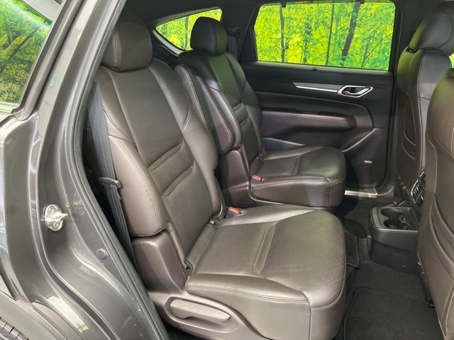 �㕔���Ȃ��C�ɂȂ�悤�ȃL�Y�E�����ւ��蓙�A�傫�ȃ_���[�W�͂Ȃ��A�ǍD�ȏ�Ԃł��B