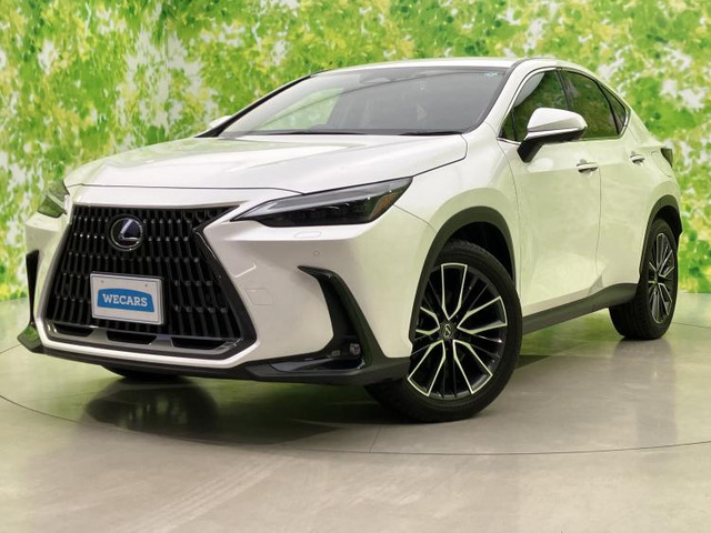 NX250 バージョンL