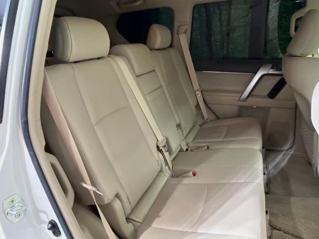 �㕔���Ȃ��C�ɂȂ�悤�ȃL�Y�E�����ւ��蓙�A�傫�ȃ_���[�W�͂Ȃ��A�ǍD�ȏ�Ԃł��B