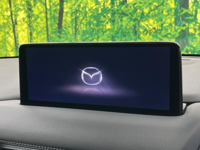 CX-52.2 XD スポーツアピアランス