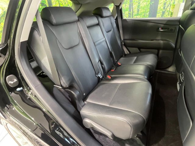 �㕔���Ȃ��C�ɂȂ�悤�ȃL�Y�E�����ւ��蓙�A�傫�ȃ_���[�W�͂Ȃ��A�ǍD�ȏ�Ԃł��B