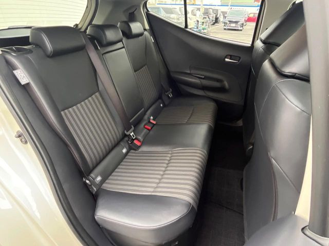 �㕔���Ȃ��C�ɂȂ�悤�ȃL�Y�E�����ւ��蓙�A�傫�ȃ_���[�W�͂Ȃ��A�ǍD�ȏ�Ԃł��B