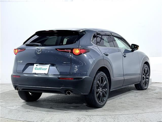 CX-302.0 20S ブラックトーンエディション