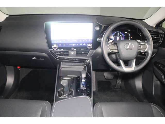 NX250 バージョンL