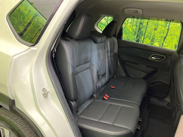 �㕔���Ȃ��C�ɂȂ�悤�ȃL�Y�E�����ւ��蓙�A�傫�ȃ_���[�W�͂Ȃ��A�ǍD�ȏ�Ԃł��B