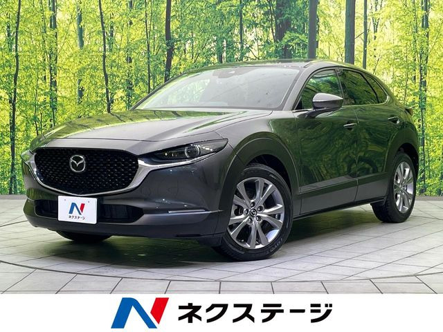 CX-30（マツダ）2.0 20S プロアクティブ 中古車画像
