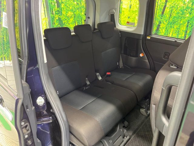 �㕔���Ȃ��C�ɂȂ�悤�ȃL�Y�E�����ւ��蓙�A�傫�ȃ_���[�W�͂Ȃ��A�ǍD�ȏ�Ԃł��B