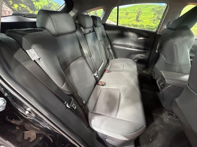 �㕔���Ȃ��C�ɂȂ�悤�ȃL�Y�E�����ւ��蓙�A�傫�ȃ_���[�W�͂Ȃ��A�ǍD�ȏ�Ԃł��B