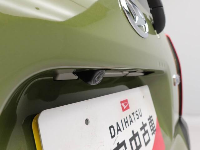 タントファンクロス