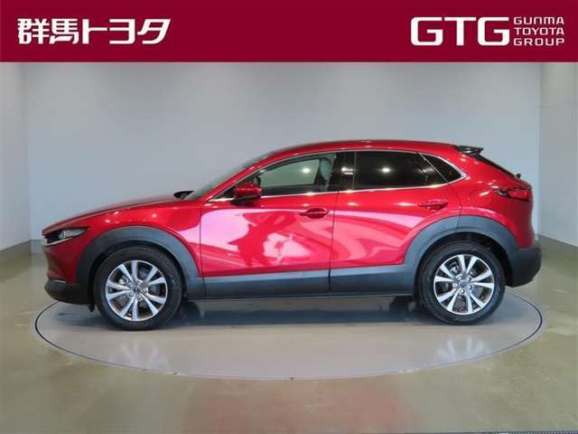 CX-302.0 20S