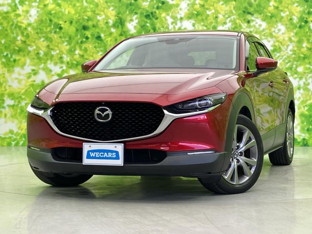 CX-301.8 XD Lパッケージ 4WD