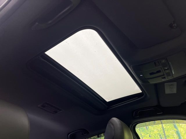 �y�T�����[�t�z�J���������Ղ�̊󏭑����A�T�����[�t����������Ă��܂�!�ԓ��ɖ�����������ꂽ��i�F���y���ވȊO�ɂ��A�ԓ��̋�C���ȒP�Ɋ��C�ł��ĉ��K�ł�!