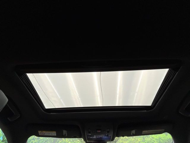 �y�T�����[�t�z�J���������Ղ�̊󏭑����A�T�����[�t����������Ă��܂�!�ԓ��ɖ�����������ꂽ��i�F���y���ވȊO�ɂ��A�ԓ��̋�C���ȒP�Ɋ��C�ł��ĉ��K�ł�!