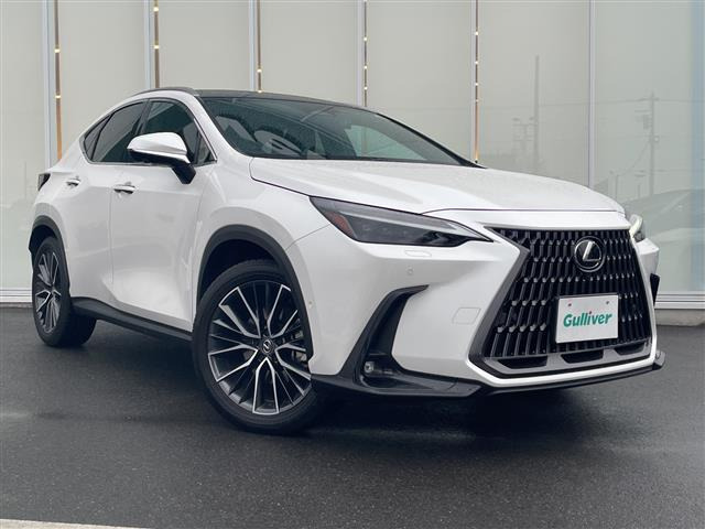 NX350h バージョンL