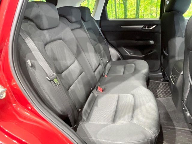 �㕔���Ȃ��C�ɂȂ�悤�ȃL�Y�E�����ւ��蓙�A�傫�ȃ_���[�W�͂Ȃ��A�ǍD�ȏ�Ԃł��B