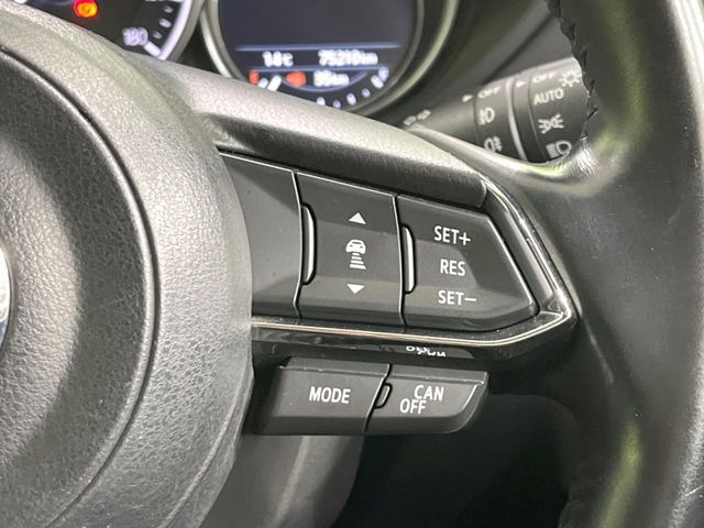 �y�}�c�_�E���[�_�[�N���[�Y�R���g���[���z�������H�ł̒��������s���y��!�����ő��x��ۂN���[�Y�R���g���[�����A�Փˌy���V�X�e���ƘA�g���A�O���̎ԗ������m���ĎԊԂ�ۂ悤�ɑ��x���߂��Ă���܂�!!