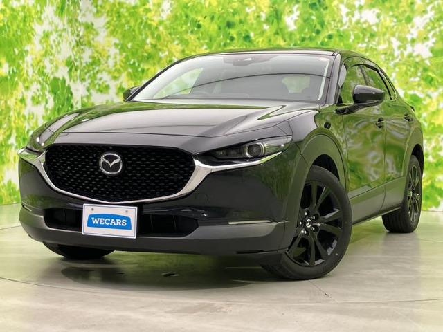 CX-302.0 20S ブラックトーンエディション 4WD