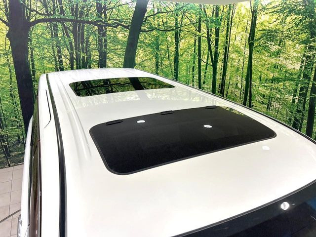 �y�T�����[�t�z�J���������Ղ�̊󏭑����A�T�����[�t����������Ă��܂�!�ԓ��ɖ�����������ꂽ��i�F���y���ވȊO�ɂ��A�ԓ��̋�C���ȒP�Ɋ��C�ł��ĉ��K�ł�!