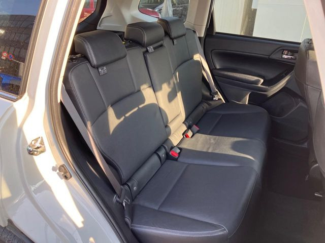 �㕔���Ȃ��C�ɂȂ�悤�ȃL�Y�E�����ւ��蓙�A�傫�ȃ_���[�W�͂Ȃ��A�ǍD�ȏ�Ԃł��B