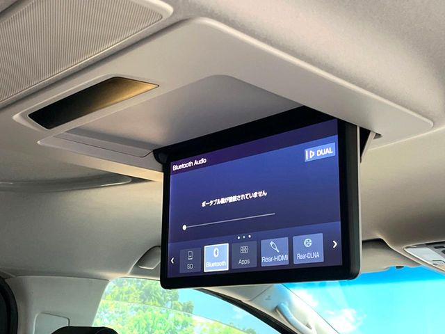 �y�����G���^�[�e�C�������g�V�X�e���z��Ȃɂ�����̕����喞���́A�l�C���[�J�[�I�v�V�����𑕔��B��p�̉����V�X�e���ƁA���ʂ̃��j�^�[�ňړ�����DVD�������y���݂��������܂��B