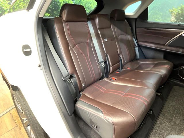 �㕔���Ȃ��C�ɂȂ�悤�ȃL�Y�E�����ւ��蓙�A�傫�ȃ_���[�W�͂Ȃ��A�ǍD�ȏ�Ԃł��B