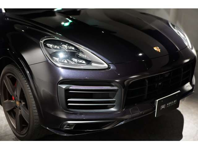 �I�v�V����:�e�B���e�b�hLED�w�b�h���C�g(PDLS�܂�)