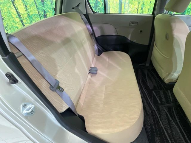 �㕔���Ȃ��C�ɂȂ�悤�ȃL�Y�E�����ւ��蓙�A�傫�ȃ_���[�W�͂Ȃ��A�ǍD�ȏ�Ԃł��B