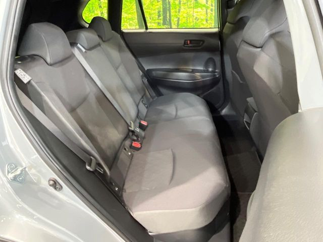 �㕔���Ȃ��C�ɂȂ�悤�ȃL�Y�E�����ւ��蓙�A�傫�ȃ_���[�W�͂Ȃ��A�ǍD�ȏ�Ԃł��B