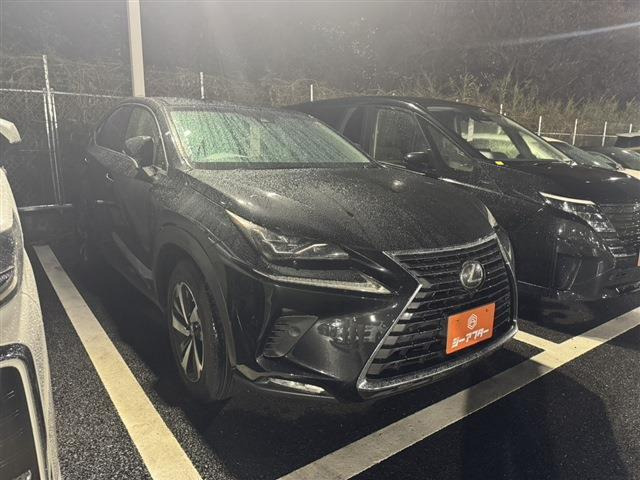 NX（レクサス）300 バージョンL　禁煙車 本革シート 純正10.3型ナビ 中古車画像